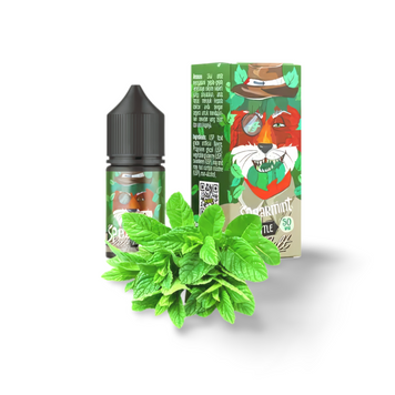 Жидкость In Bottle Salt Spearmint (Mята) 898957 фото